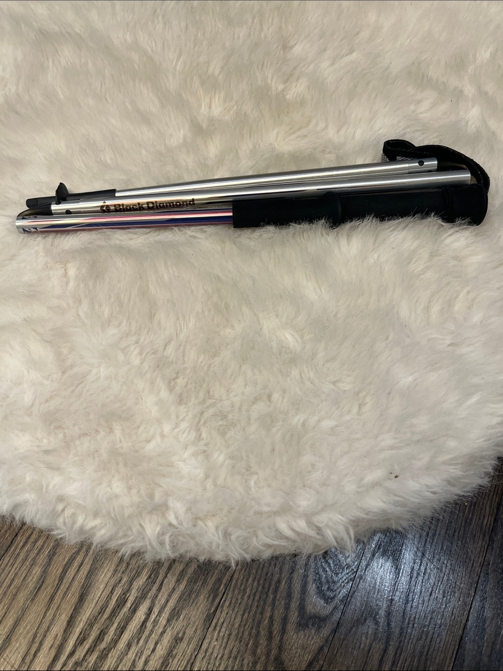 Black Diamond Hiking Stick